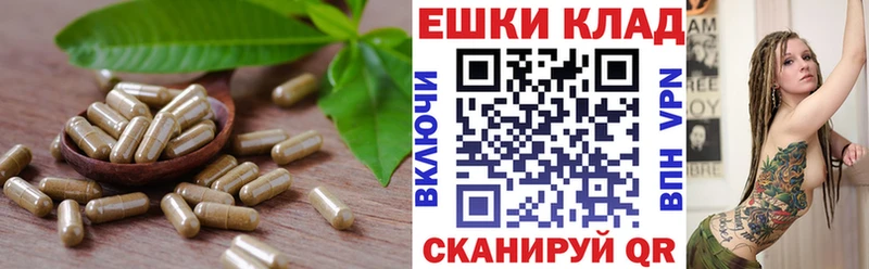 Ecstasy 99% гидра рабочий сайт Фёдоровский